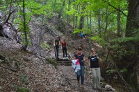 /album/fotogaleria/dsc-0975-jpg/